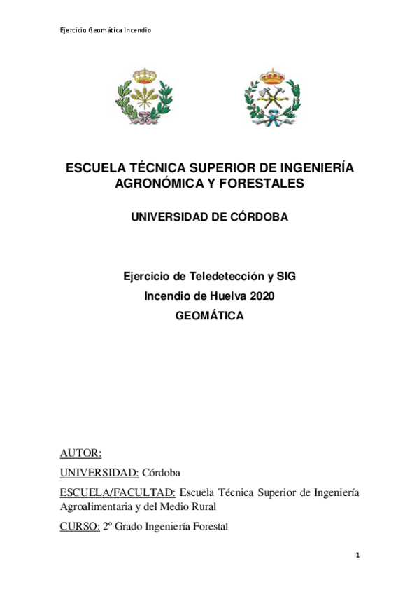 Miniatura del documento Ejerciciofinalgeomatica.pdf
