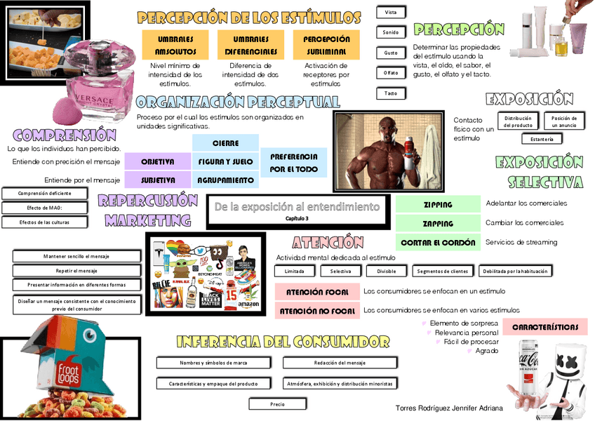 Miniatura del documento Mapa-mental-la-exposicion.pdf