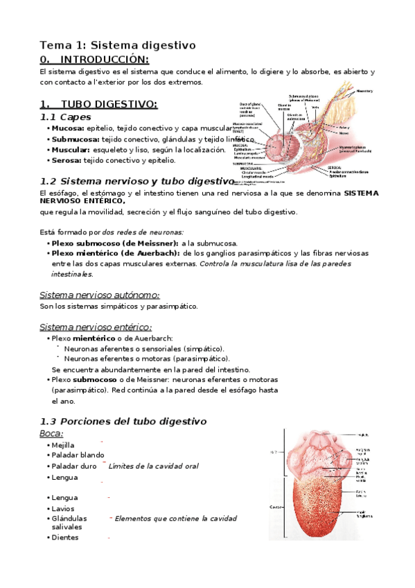 Miniatura del documento Tema-1.-Sistema-digestivo.docx