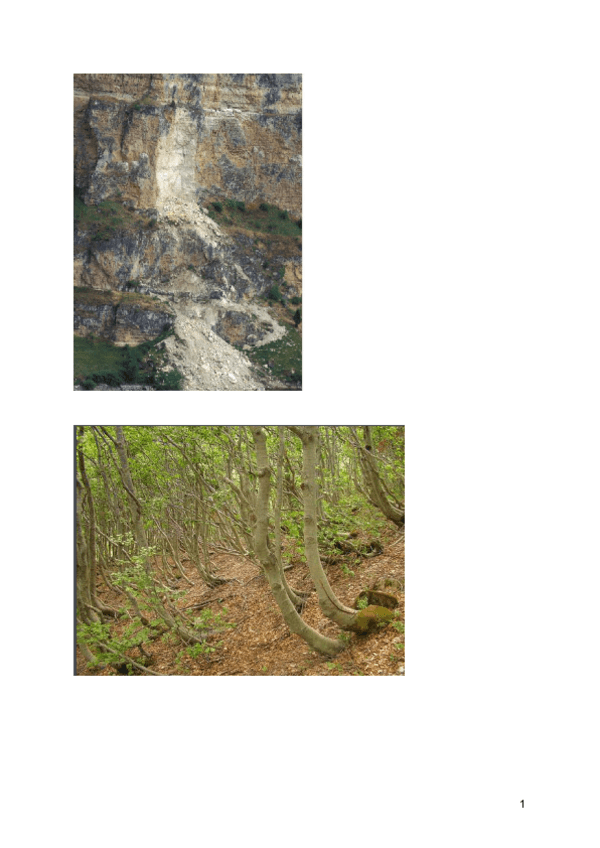 Miniatura del documento fotos-procesos-gravitacionales.pdf