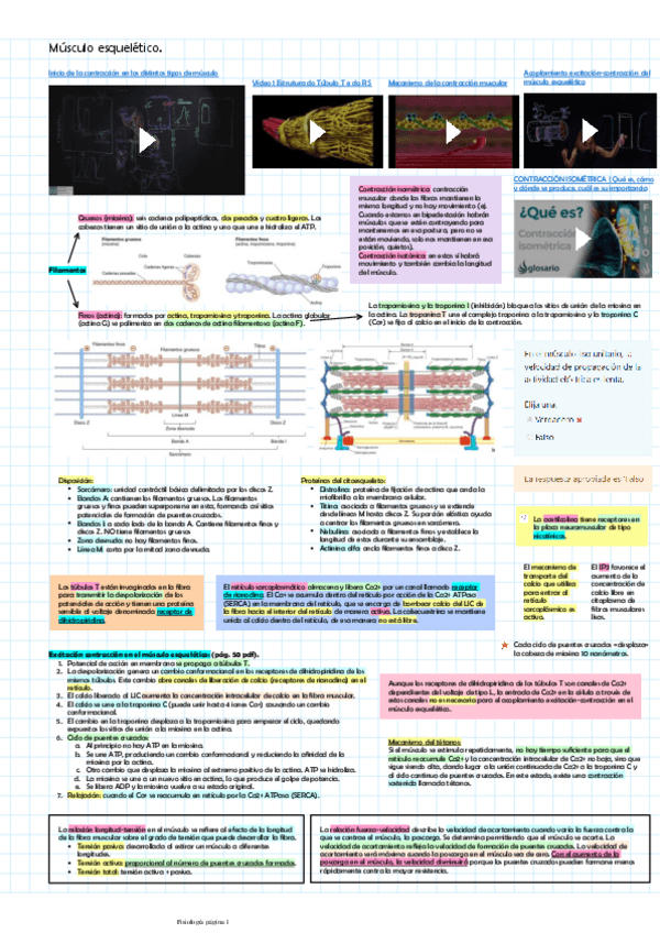 Miniatura del documento Musculo-esqueletico.pdf
