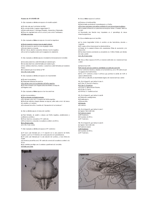Miniatura del documento examen-de-anatomia.pdf