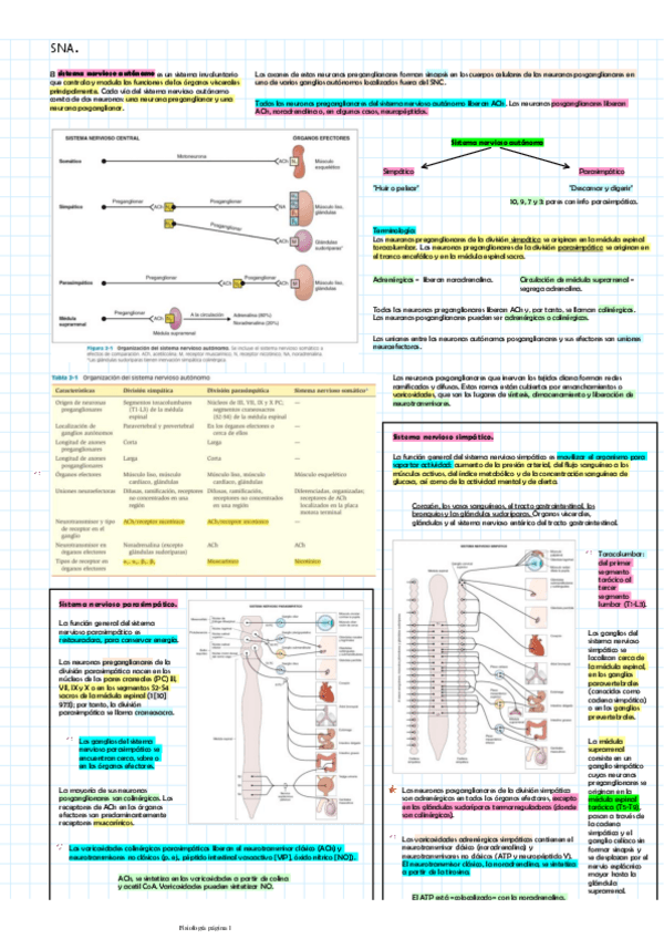Miniatura del documento SNAnervioso.pdf