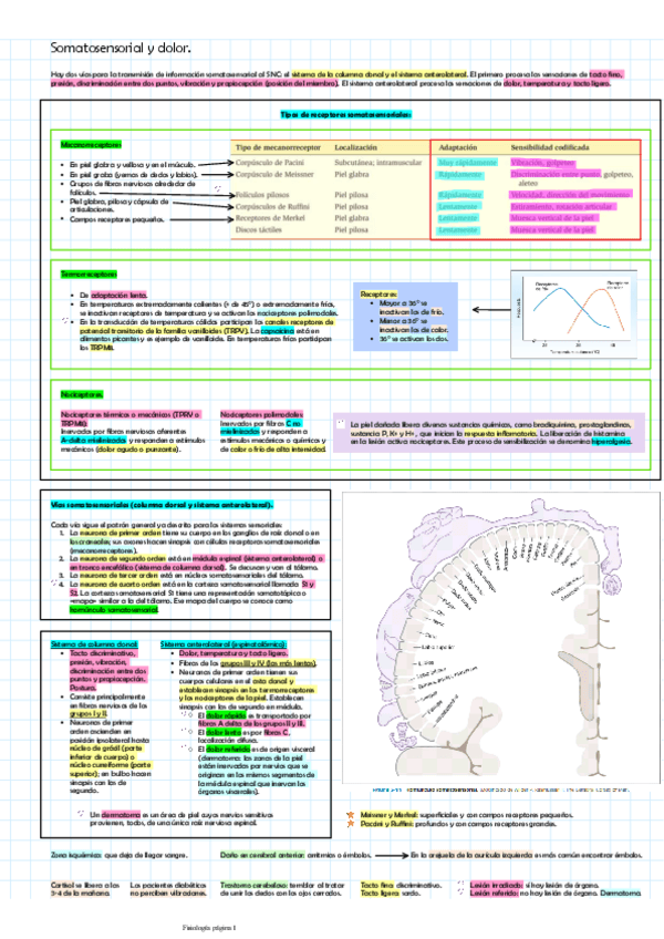Miniatura del documento Somatosensorial-y-dolornervioso.pdf