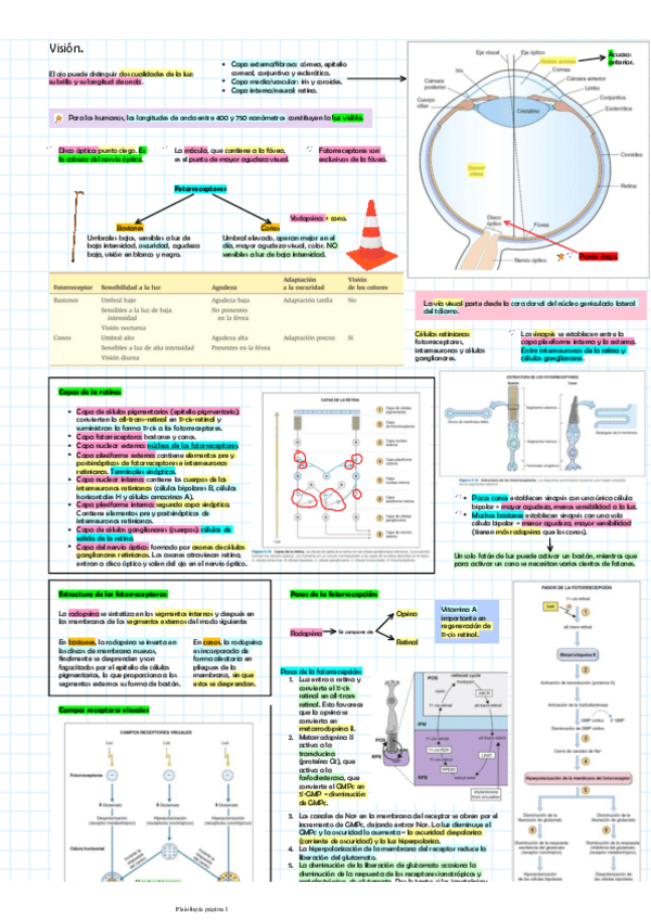 Miniatura del documento Visionnervioso.pdf