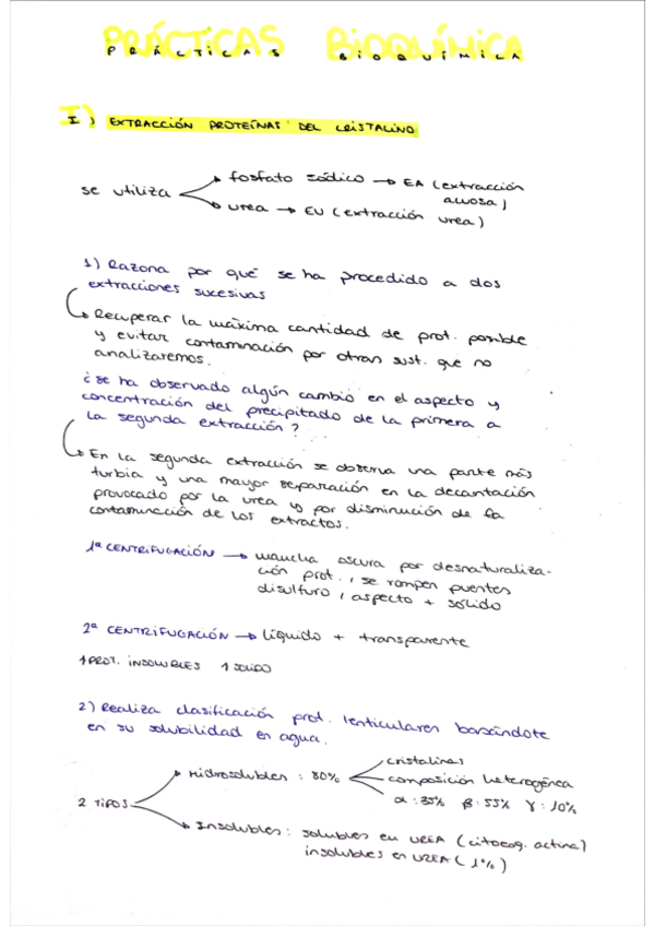 Miniatura del documento Practicas-bioquimica.pdf
