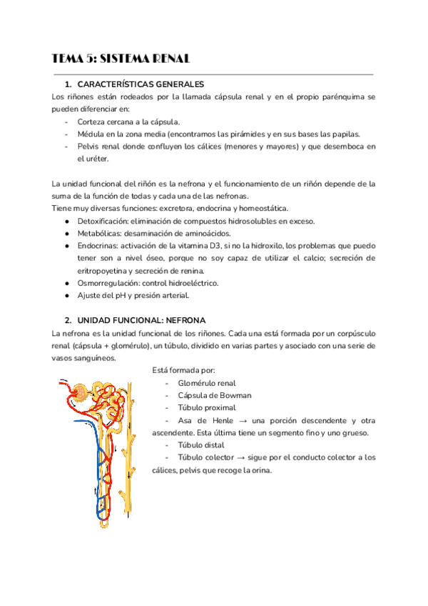 Miniatura del documento TEMA-5.pdf
