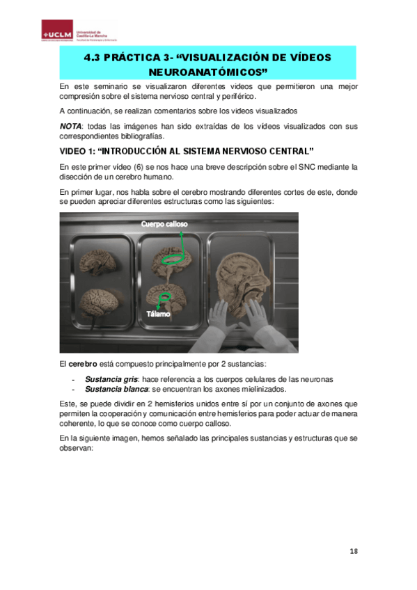 Miniatura del documento Videos-resumen.pdf