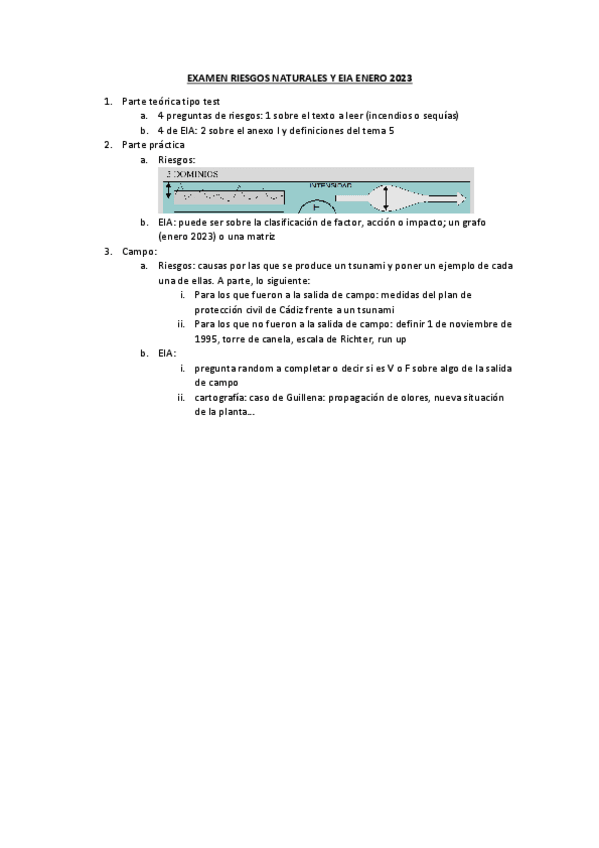 Miniatura del documento Examen-riesgos-y-EIA-enero-2023.pdf