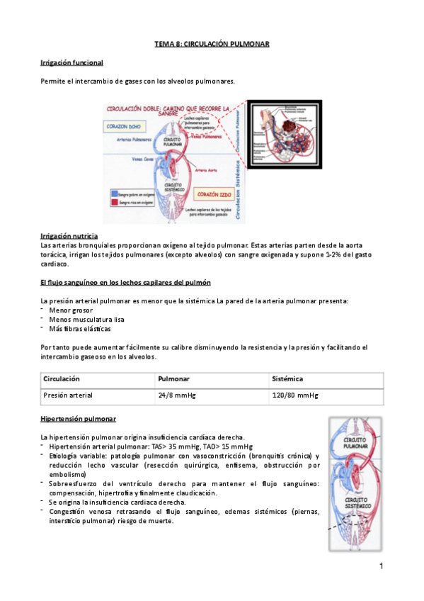 Miniatura del documento Tema-8-Circulacion-pulmonar.pdf