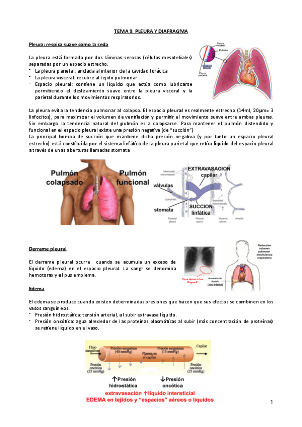 Miniatura del documento Tema-9-Pleura-y-diafragma.pdf