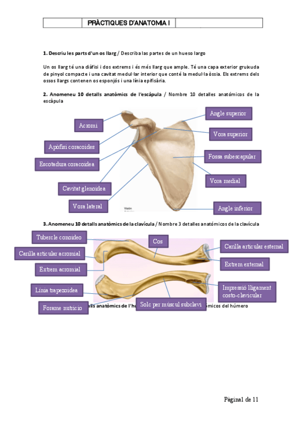 Miniatura del documento Dossier-EESS.pdf