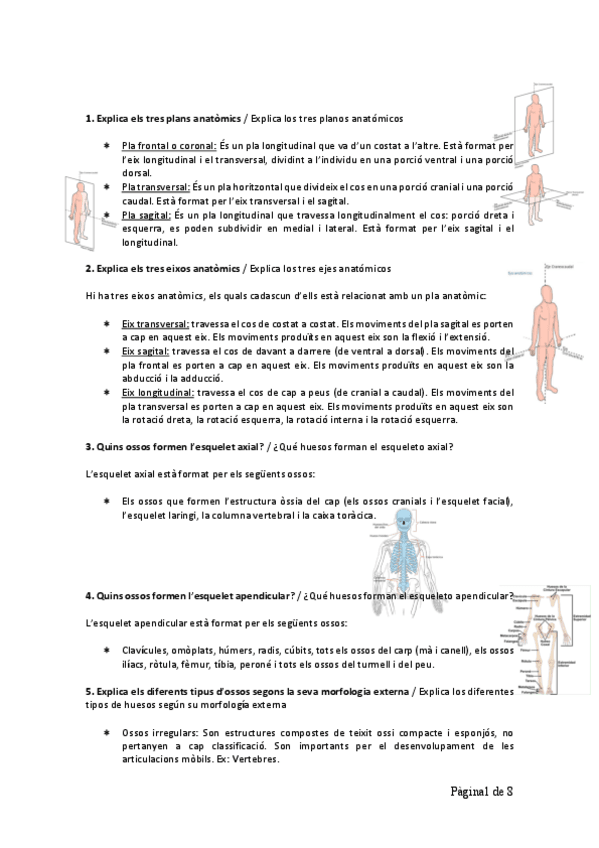 Miniatura del documento Dossier-Generalidades.pdf