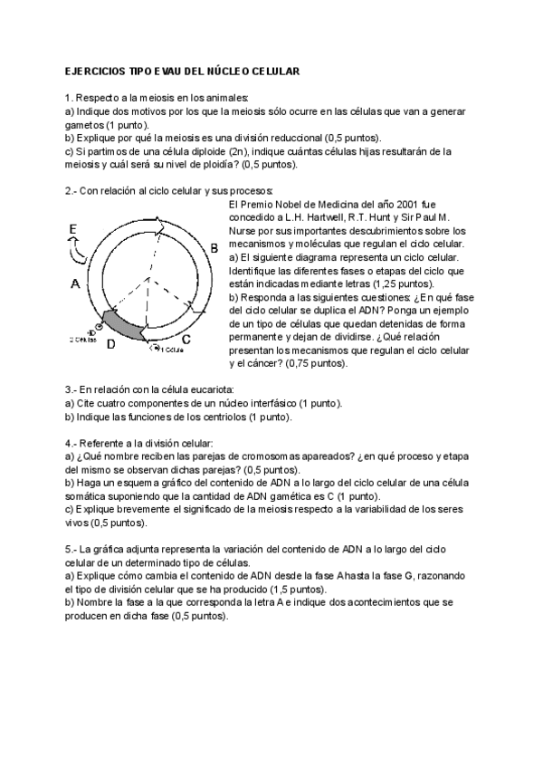 Miniatura del documento EJERCICIOS-TIPO-EVAU-DEL-NUCLEO-CELULAR.pdf