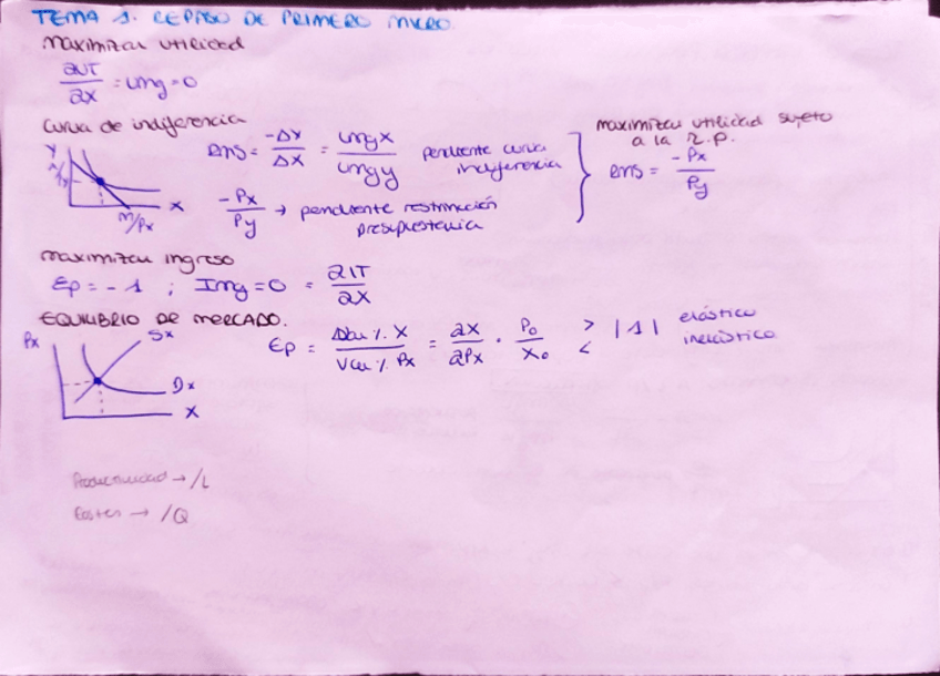 Miniatura del documento Esquema-resumen-por-temas-Microeconomia-Intermedia.pdf
