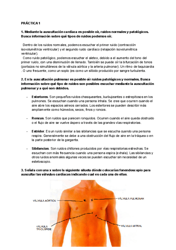 Miniatura del documento PRACTICA-1-AM...pdf