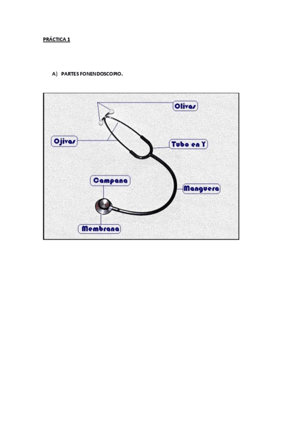 Miniatura del documento PRACTICA-1..pdf