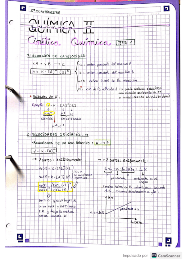 Miniatura del documento TEMA1-cinetica-quimica.pdf