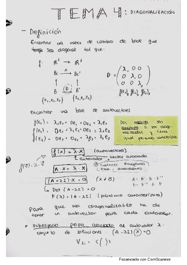 Miniatura del documento TEMA-4-Diagonalizacion.pdf