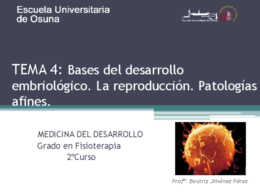 Miniatura del documento Tema-4-MDapuntes.pdf