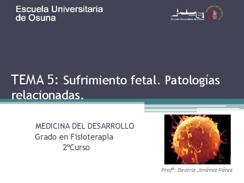 Miniatura del documento Tema-5-MDapuntes.pdf