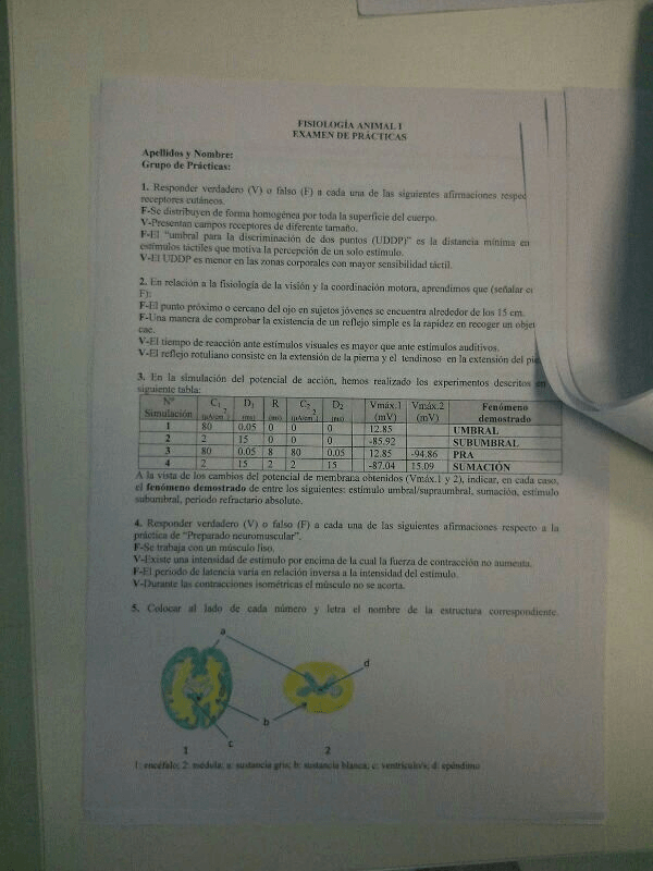 Miniatura del documento exam prácticas 2016 FA.jpg