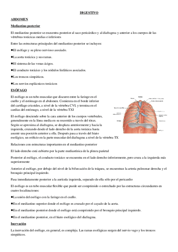 Miniatura del documento DIGESTIVO.docx