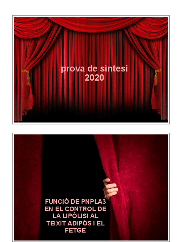 Miniatura del documento 2020-PROVA-DE-SINTESI-ENUNCIAT.pdf