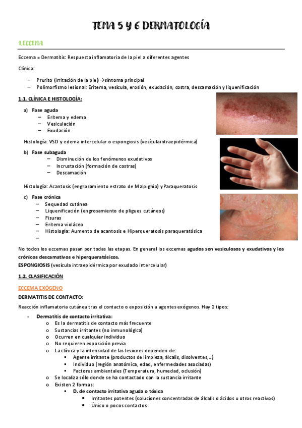 Miniatura del documento TEMA-5-y-6-DERMA.pdf