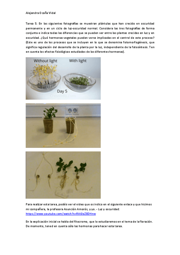 Miniatura del documento Tarea-5-LuzOscuridad.pdf