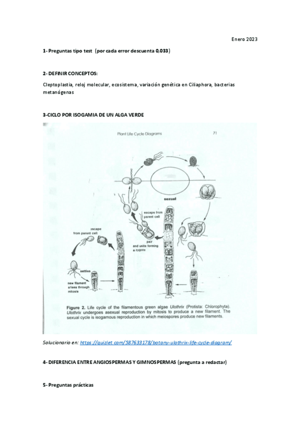 Miniatura del documento diversidad-examen botánica-enero 2023.pdf