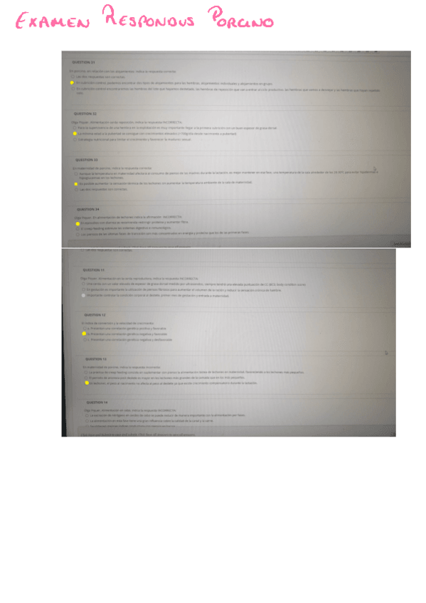 Miniatura del documento Examen-porcino-produccion.pdf