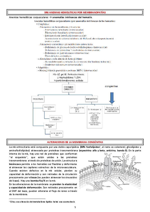 Miniatura del documento SR6-ANEMIAS-HEMOLITICAS-POR-MEMBRANOPATIAS.pdf