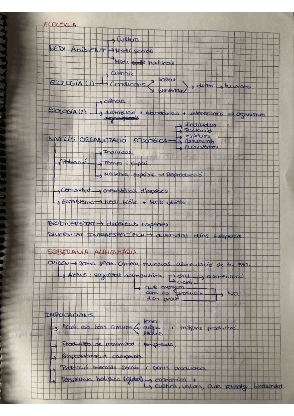 Miniatura del documento som-el-que-mengem.pdf