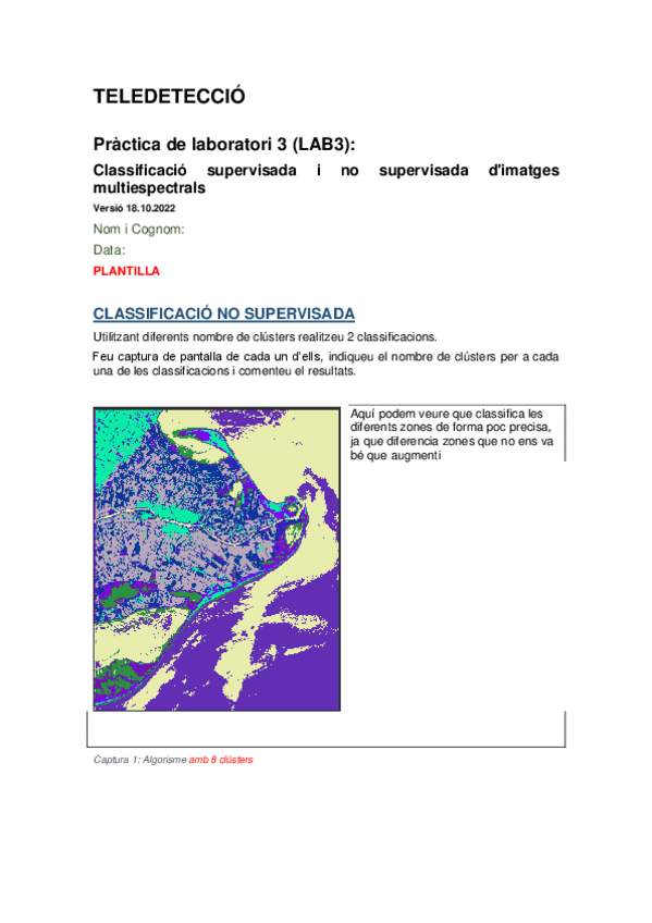 Miniatura del documento Ivars-ElenaLABClassificacio.pdf