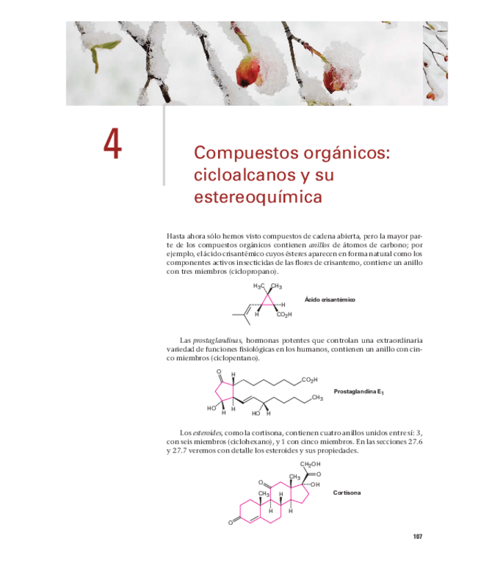 Miniatura del documento john-mcmurry-quimica-organica-2008-cengage-learning-131.pdf
