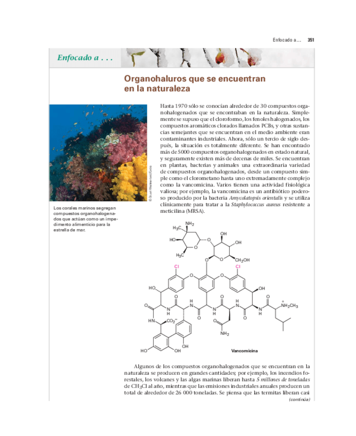 Miniatura del documento john-mcmurry-quimica-organica-2008-cengage-learning-375.pdf