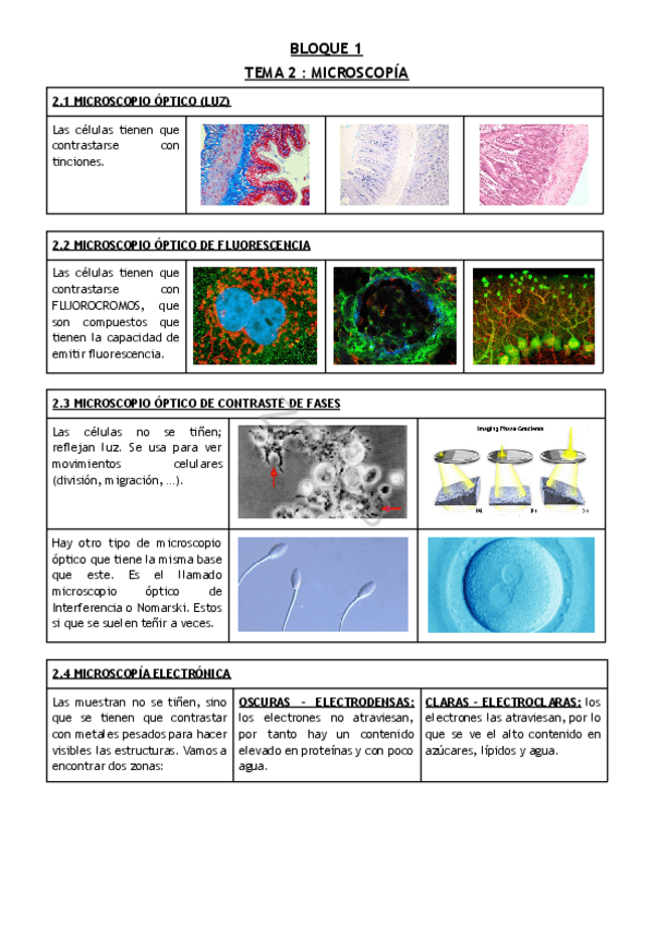 Miniatura del documento TEMA-2--MICROSCOPIA.pdf