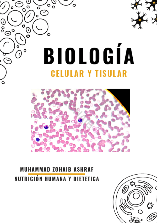 Miniatura del documento PRACTICAS-CUADERNO-COMPLETO-DE-LABORATORIO.pdf