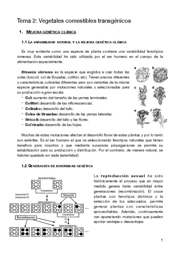 Miniatura del documento T2-Alimentos.pdf