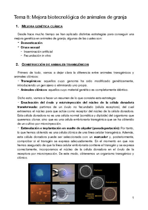 Miniatura del documento T8-Alimentos.pdf