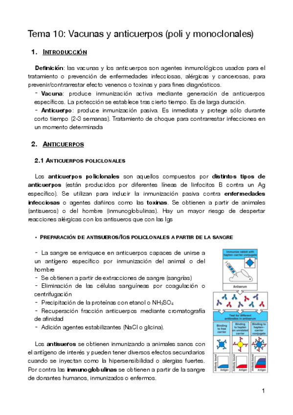 Miniatura del documento T10-OBPIIS.pdf