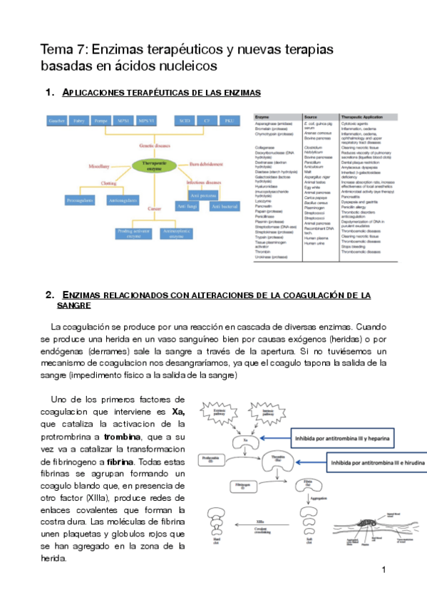 Miniatura del documento T7-OBPIIS.pdf