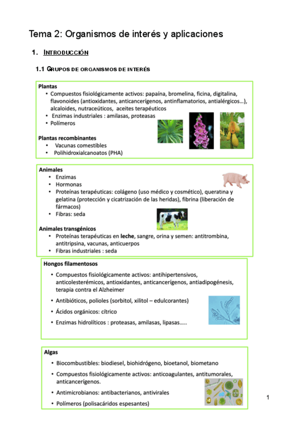 Miniatura del documento T2-OBPIIS.pdf