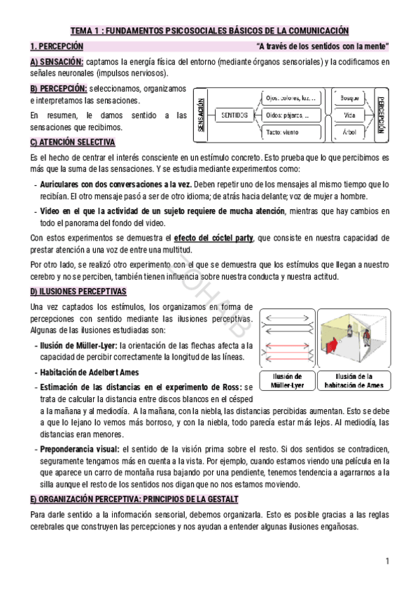 Miniatura del documento TEMA-1--FUND.-PSICOSOCIALES-DE-LA-COMUNIC..pdf