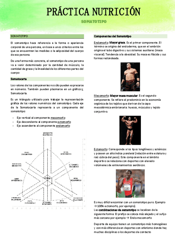 Miniatura del documento Practica1.-Somatotipo.pdf