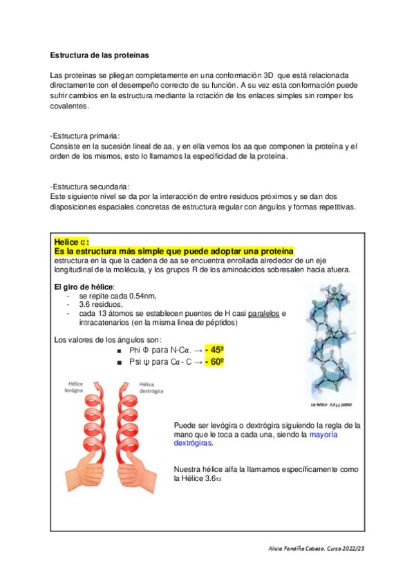 Miniatura del documento 6.2-Estructura-de-las-proteinas.pdf