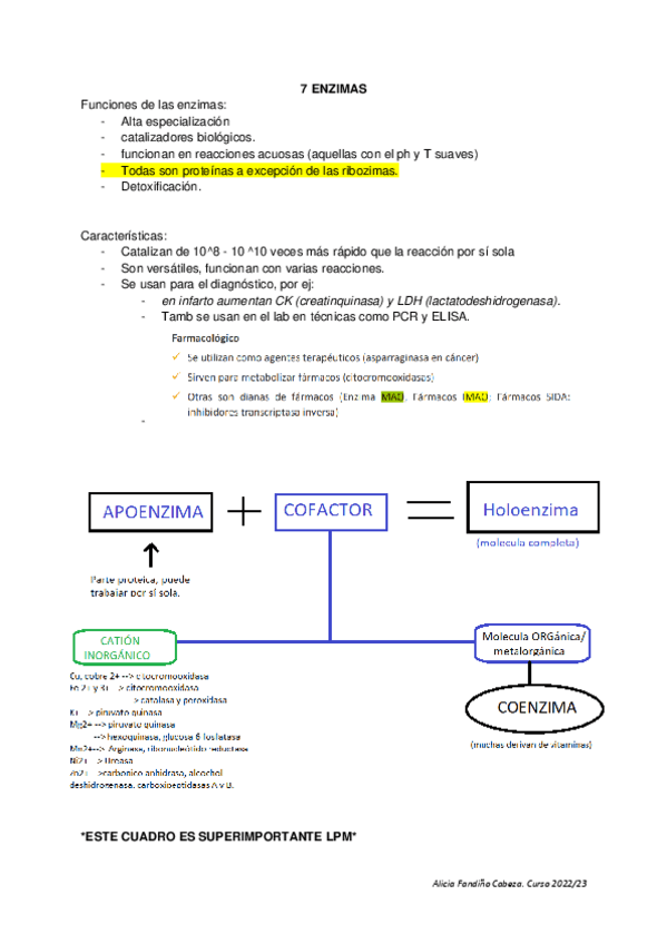 Miniatura del documento 7.-ENZIMAS.pdf