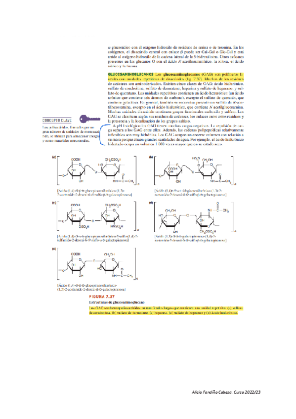 Miniatura del documento material-complemtario.pdf