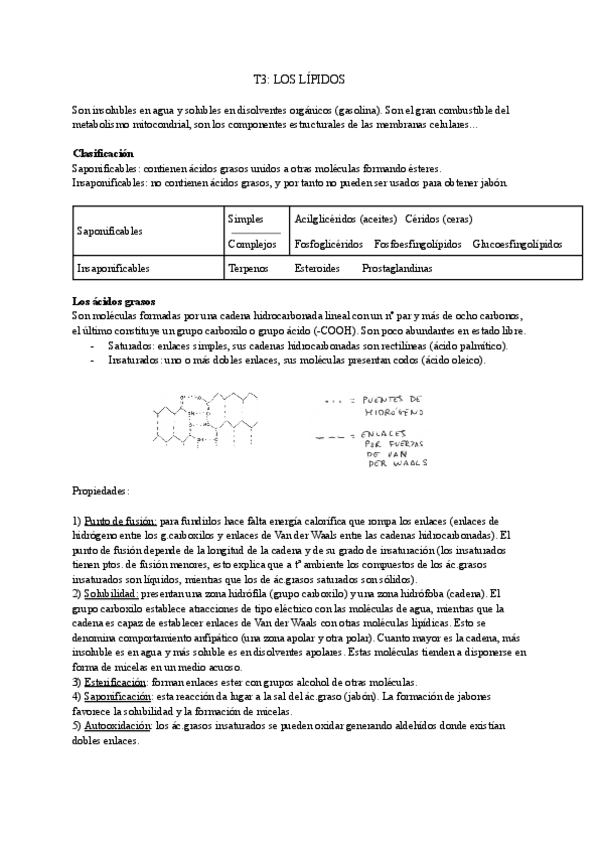 Miniatura del documento T3-LOS-LIPIDOS.pdf